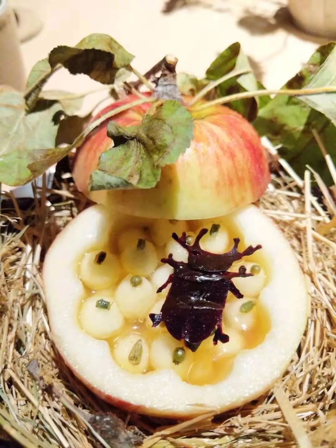 世界第一餐厅NOMA:“有什么吃什么”的能耐和“改变世界”的勇气