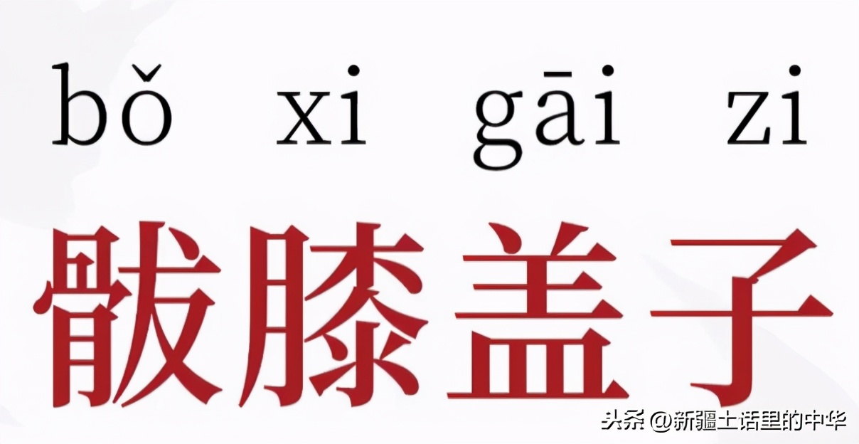 精肚子，精尻子，精脚片子、䯋膝盖子、脚把骨、尻蛋子