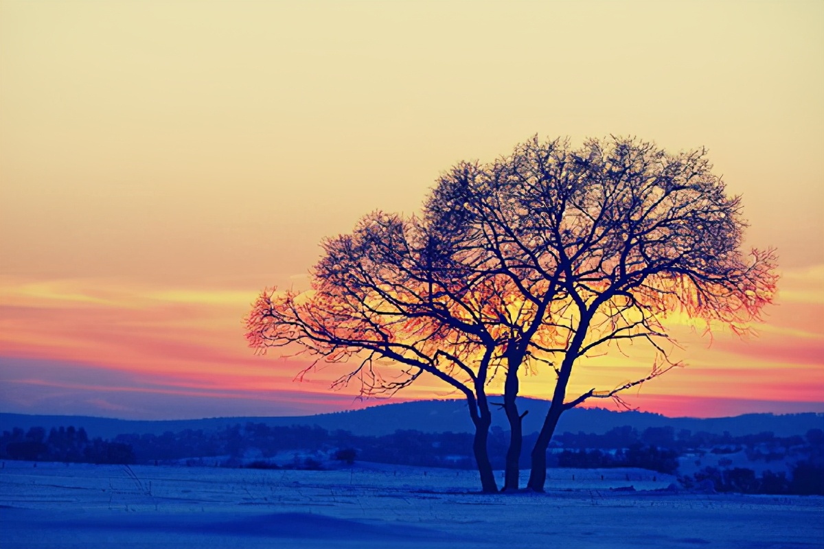 孟浩然一生中写过最简单的诗,孟浩然写的最著名的诗句