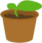 【女大学生当小姐，患性病惨不忍睹 】