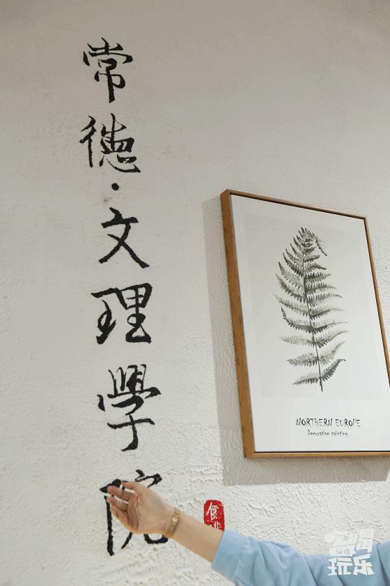 常德这条校园旁最“便宜”的街，却有着我们最“贵”的青春