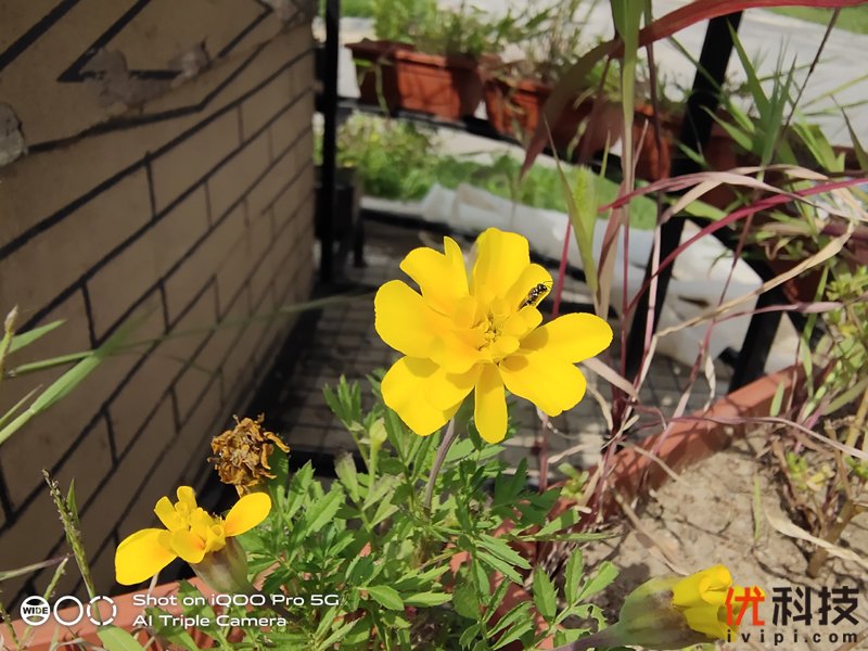 5g时代来临iqoopro5g优势很明显,iqoopro一代5g和4g有什么区别