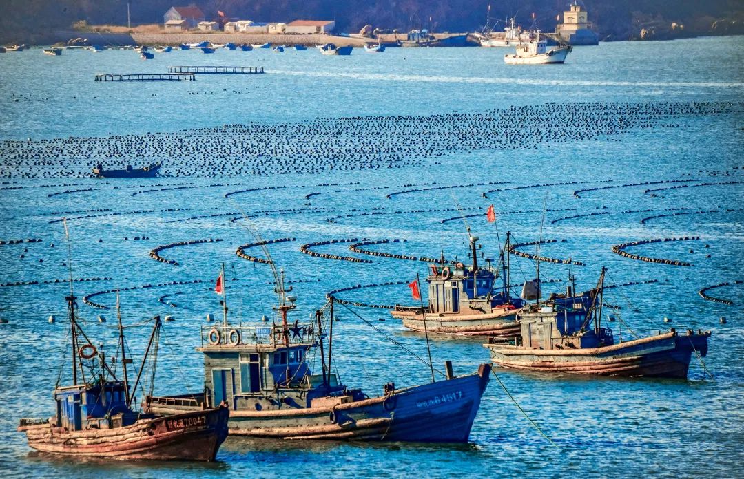 中国人过年太有意思,中国人过年有什么活动