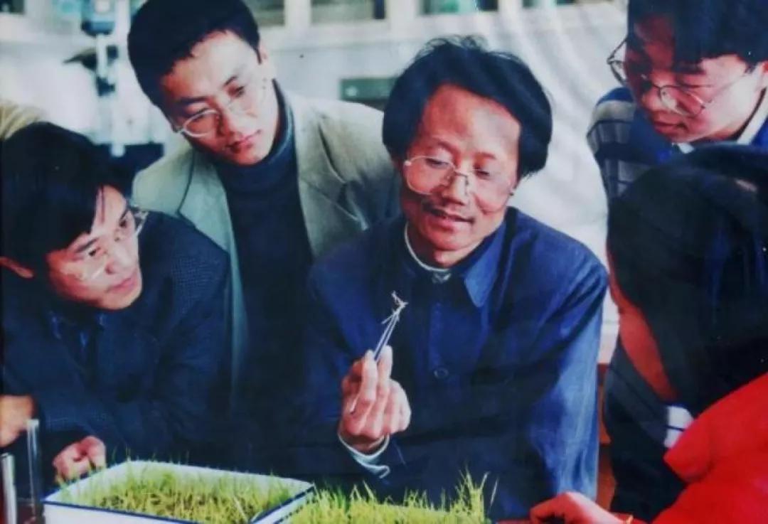 被打的老教授，吃饱的中国人