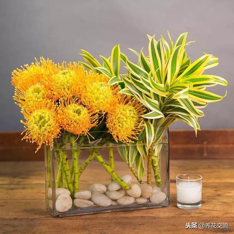 养干花花瓶放水吗,养康乃馨花瓶放多少水