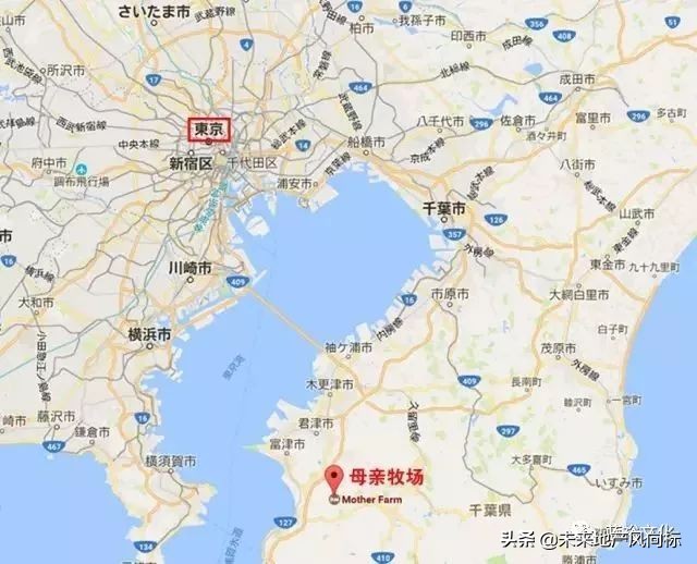 母亲牧场要玩多久,低成本花园家庭农场亲子乐园