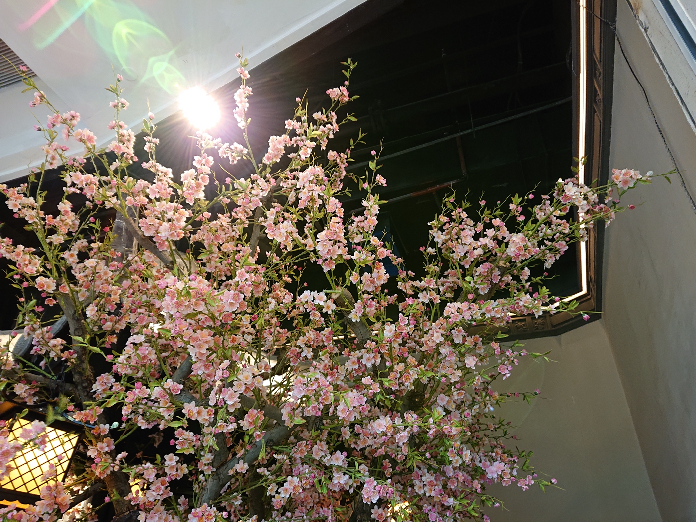 索尼XZ3是很多索尼的“第一次”，也可能是你动心的“第一次”