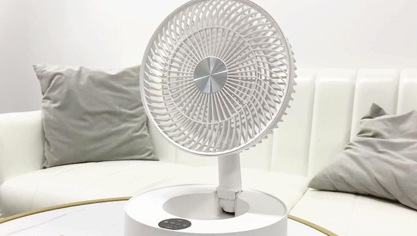 巴慕达风扇有什么特点呢,巴慕达风扇最新型号