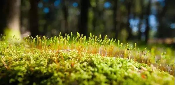 公务员真的一眼望到头吗,公务员的工作真的那么好吗