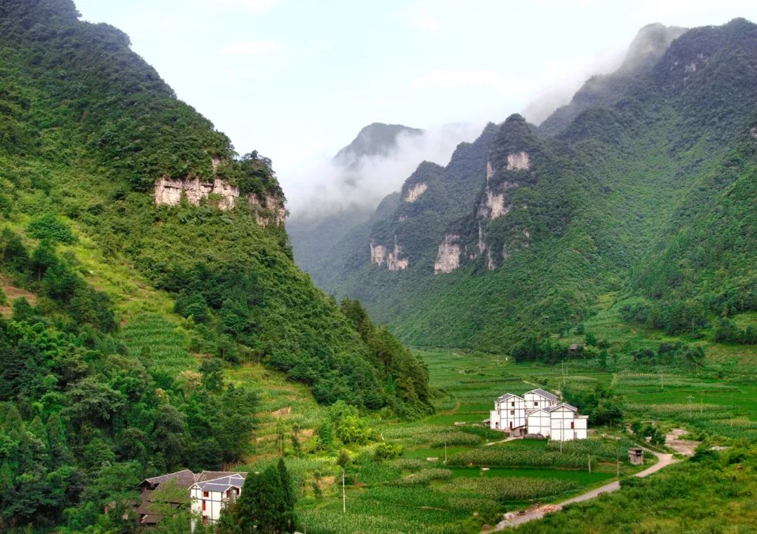 贵州速度，蔚为大观