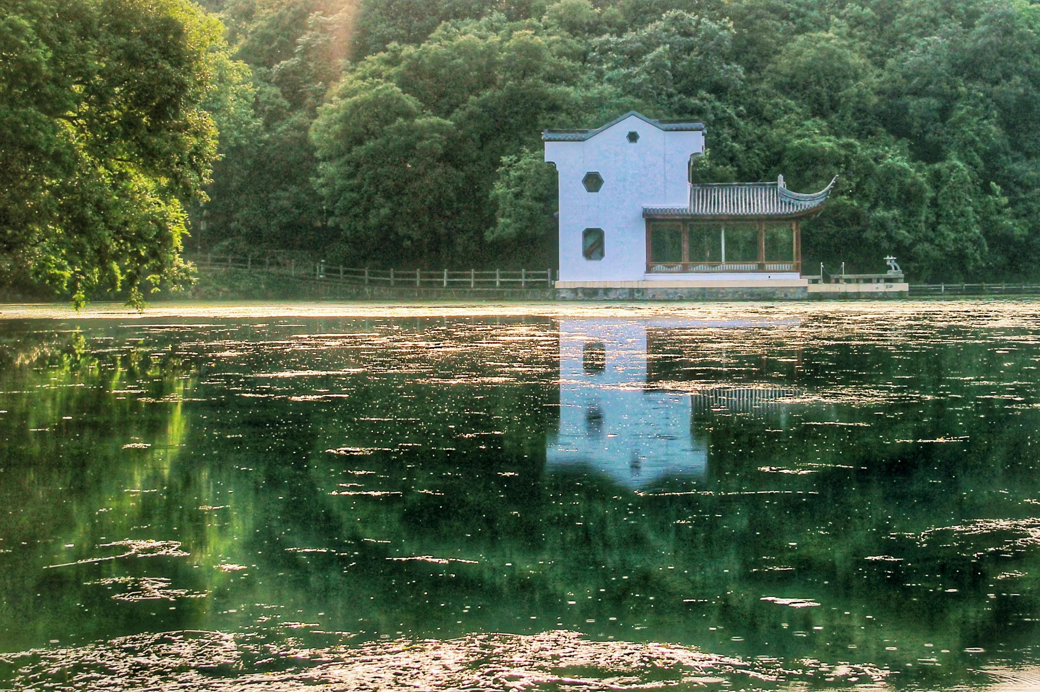 南京珍珠泉门票,南京珍珠泉野生动物园