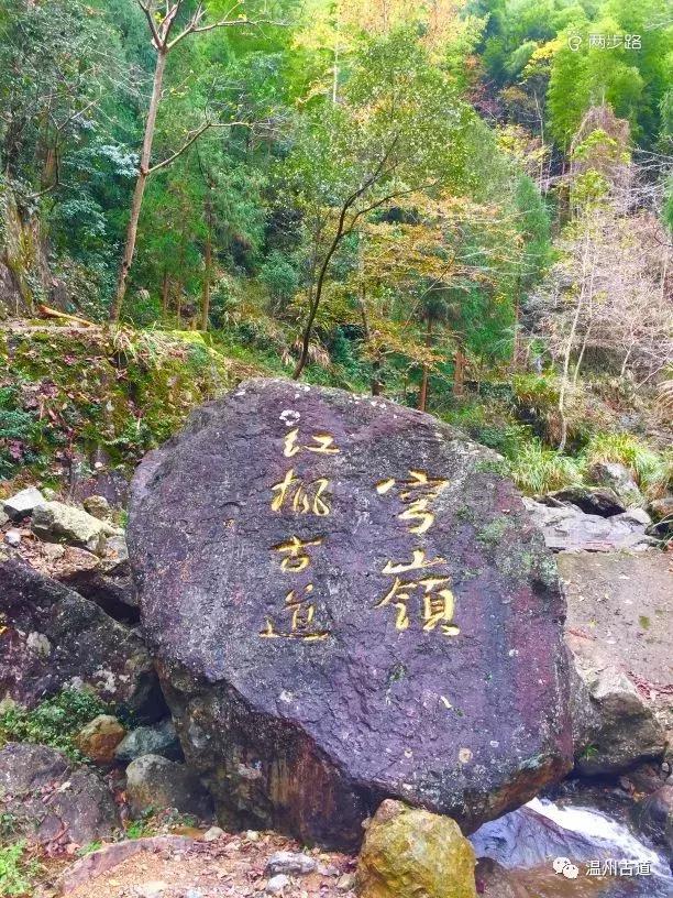温州茶山红枫古道,浙江温州永嘉红枫古道