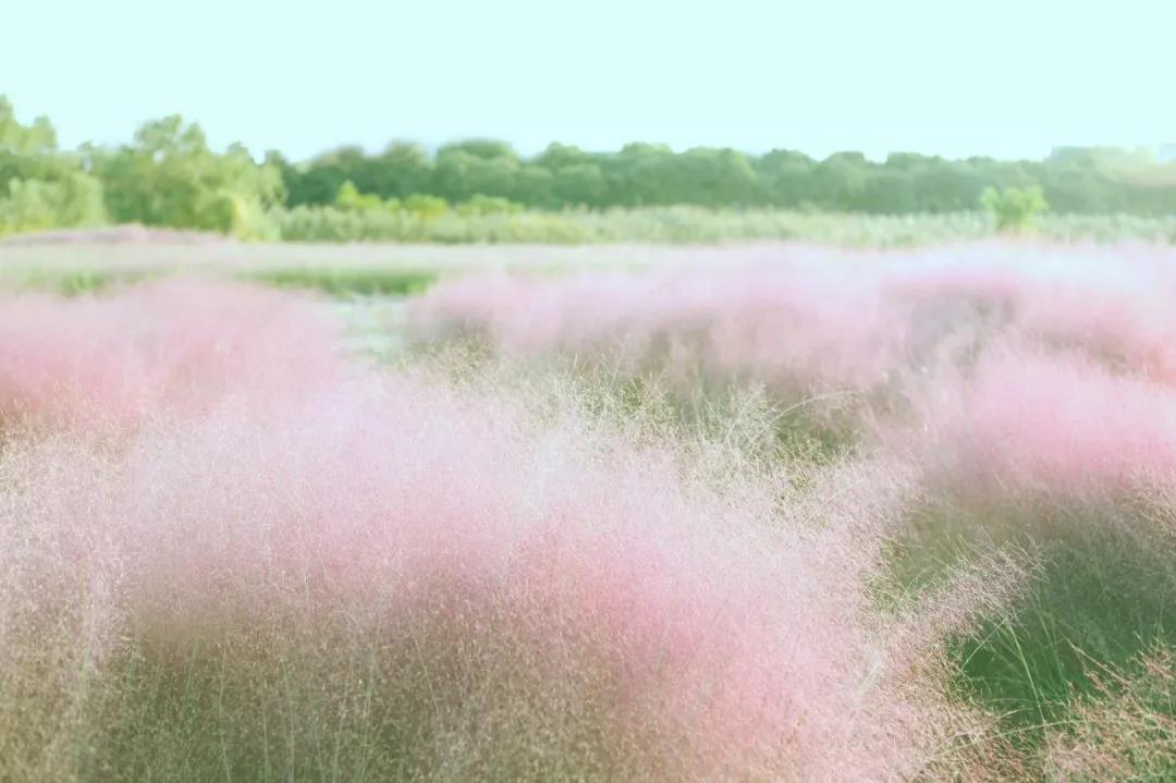 宋词300首经典诗词,一生必背100首经典唐诗宋词朗诵版