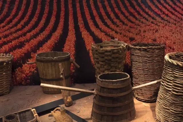 世界10大葡萄酒产区,世界十大顶级葡萄酒产区