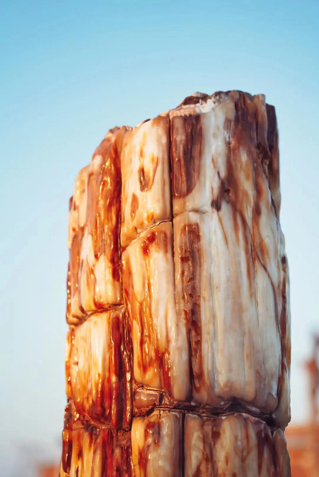 初见长春,第一次雾凇之旅不虚此行