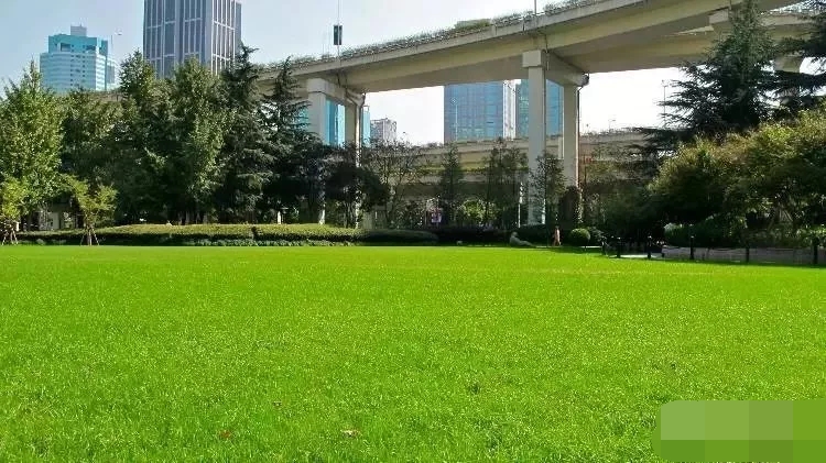 上海老字号2020,上海老字号的餐饮