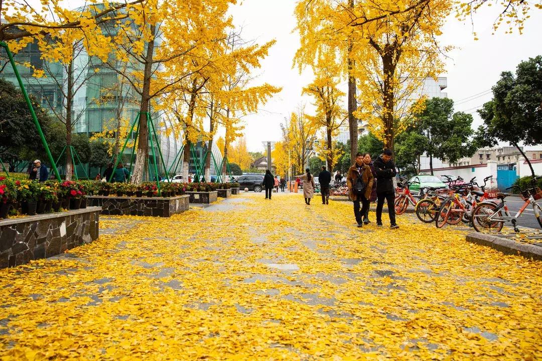 成都各区县地名来历,成都街道名字由来