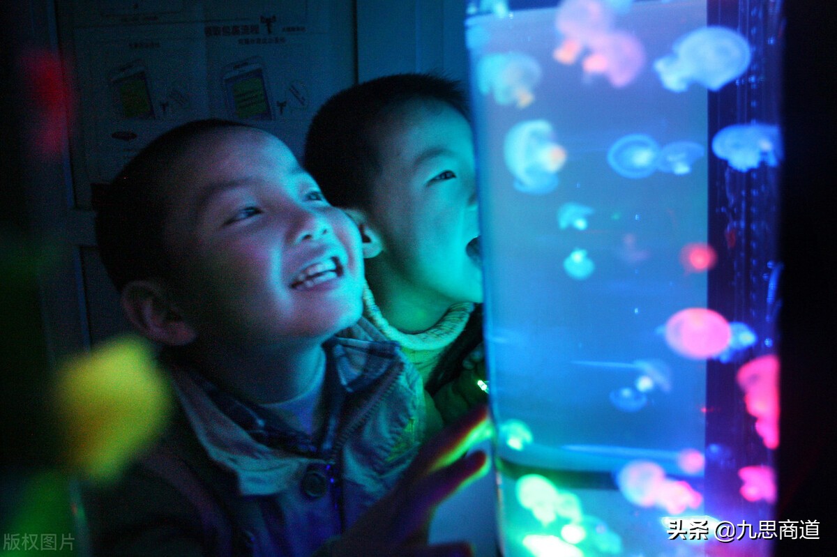 鱼缸清洗上门服务怎么推广,成都鱼缸上门清洗