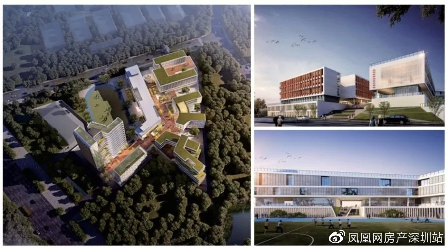 龙华23个项目集体开工,深圳龙华集中开工245个项目