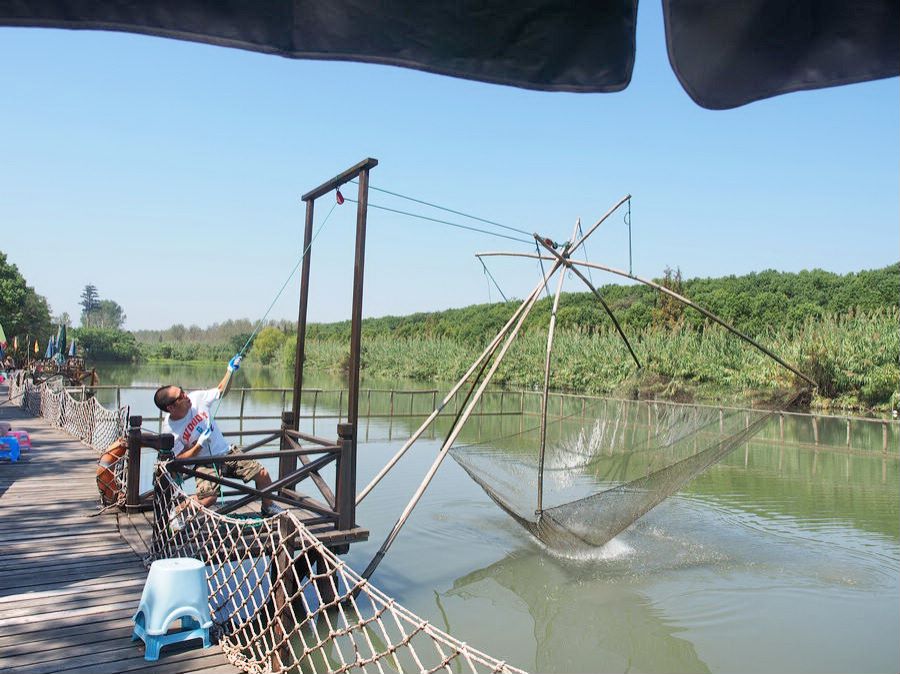 沙家浜景区大闸蟹在哪里,秋天爱上上海的理由大闸蟹