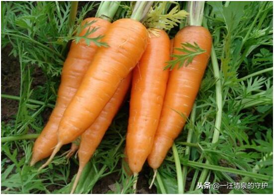 孕期吃这些宝宝颜值高,孕妇吃这些容易生出漂亮宝宝