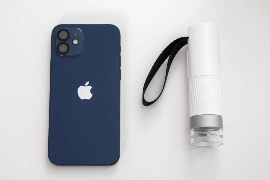 暑假孩子玩手机不如打篮球吧,儿童显微镜放大蚂蚁120倍