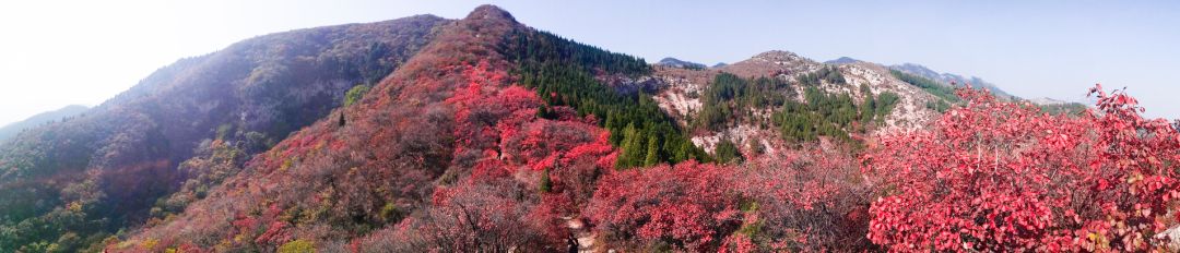 博山区年审,博山年审