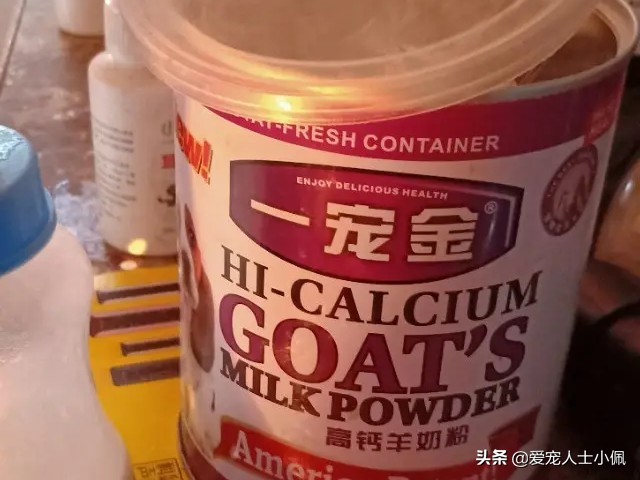 给狗狗打疫苗教学视频防咬,给狗狗打疫苗的正确方法