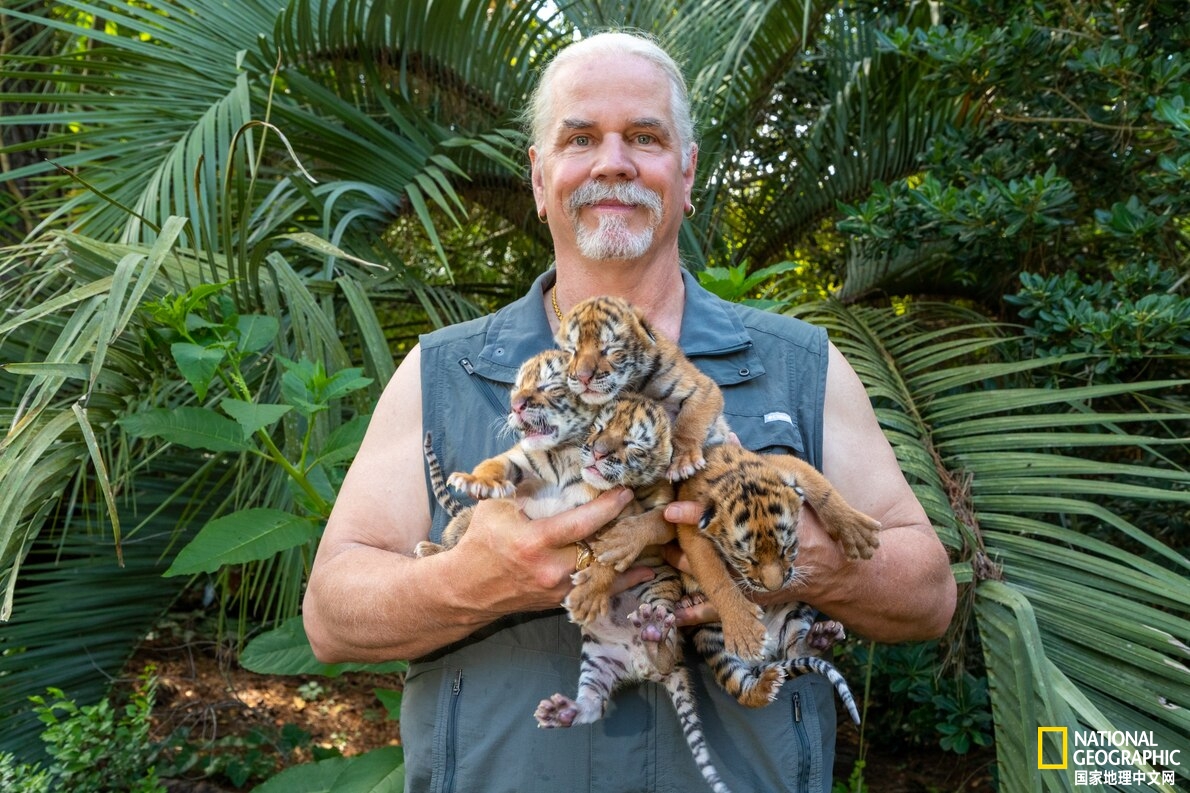 虎王被判刑,虎王到底发生过什么事