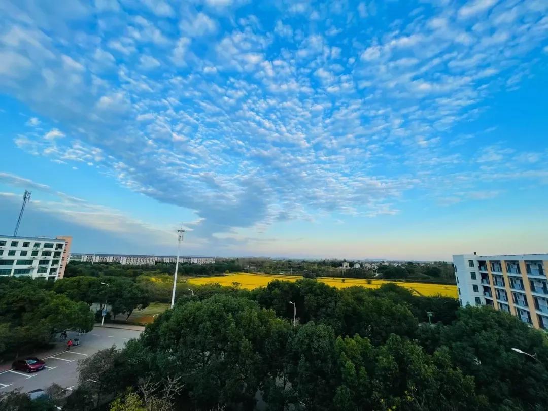 江苏省高校(五十一)南京航空航天大学金城学院