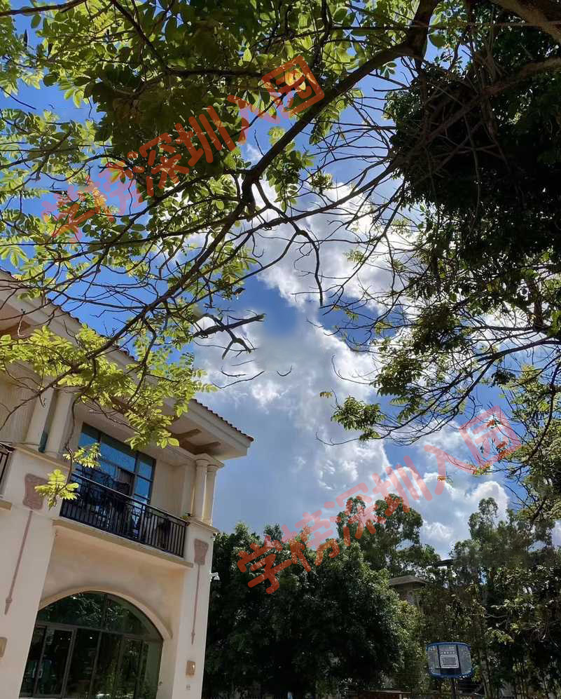 南翔翔华幼儿园招生简章,祥瑞华幼儿园价格