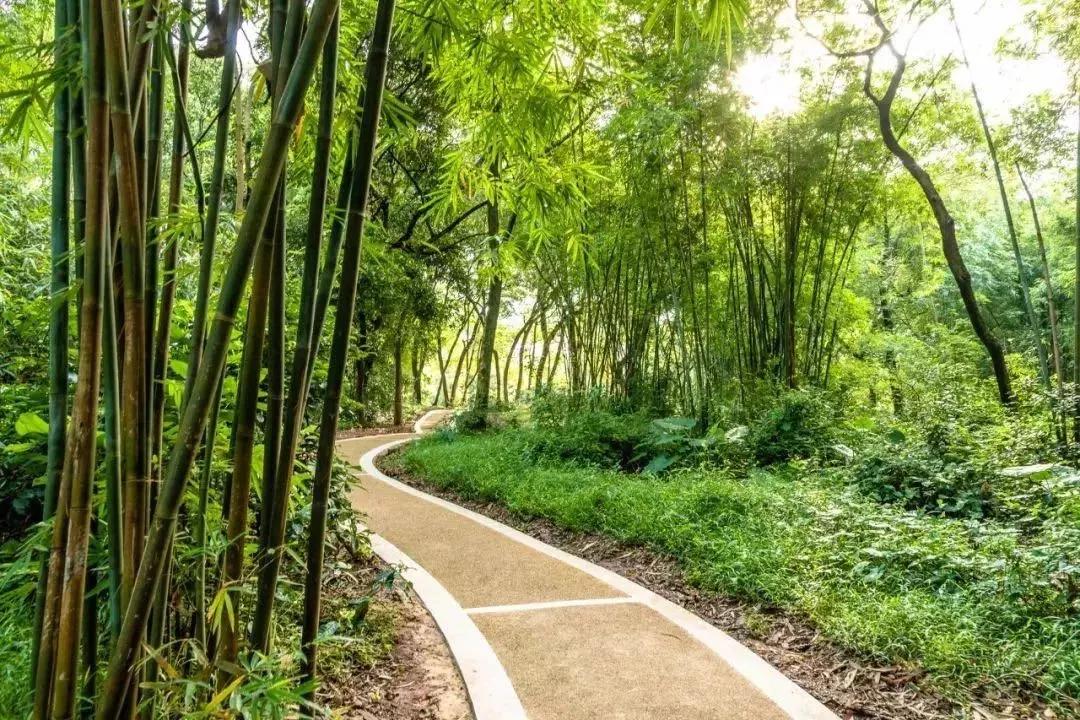 广州花都公园景点地图 (花都旅游景点分布图高清版)