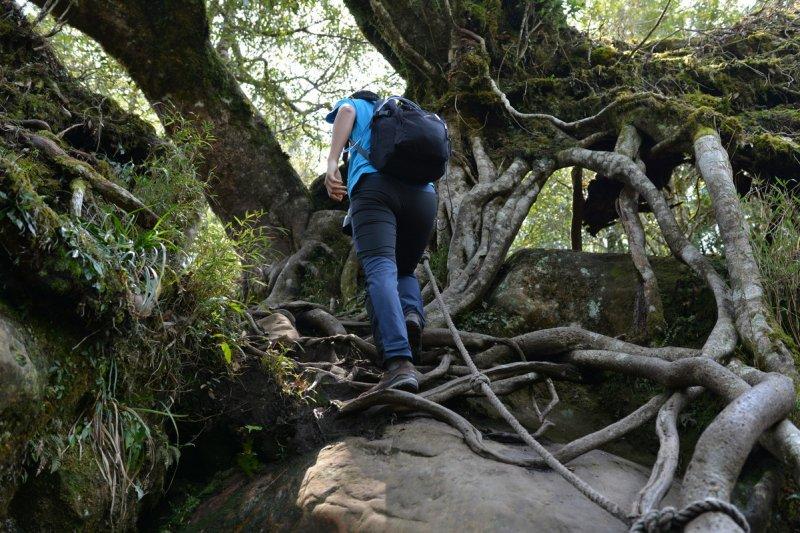 盘点小学生穿不起的鞋,lowa户外徒步鞋哪款是经典款