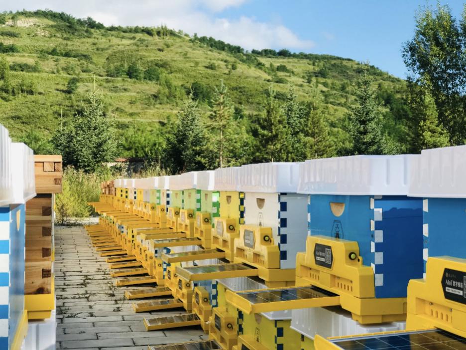 鱼菜共生立体养殖科技感,鱼菜共生智慧农业