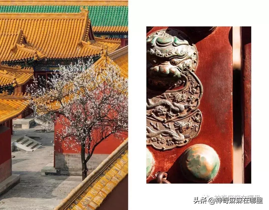 一天卖断80000支,仙到极致的故宫口红