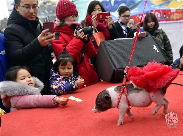 武汉跨年攻略赴一场烟火狂欢,武汉跨年小众活动