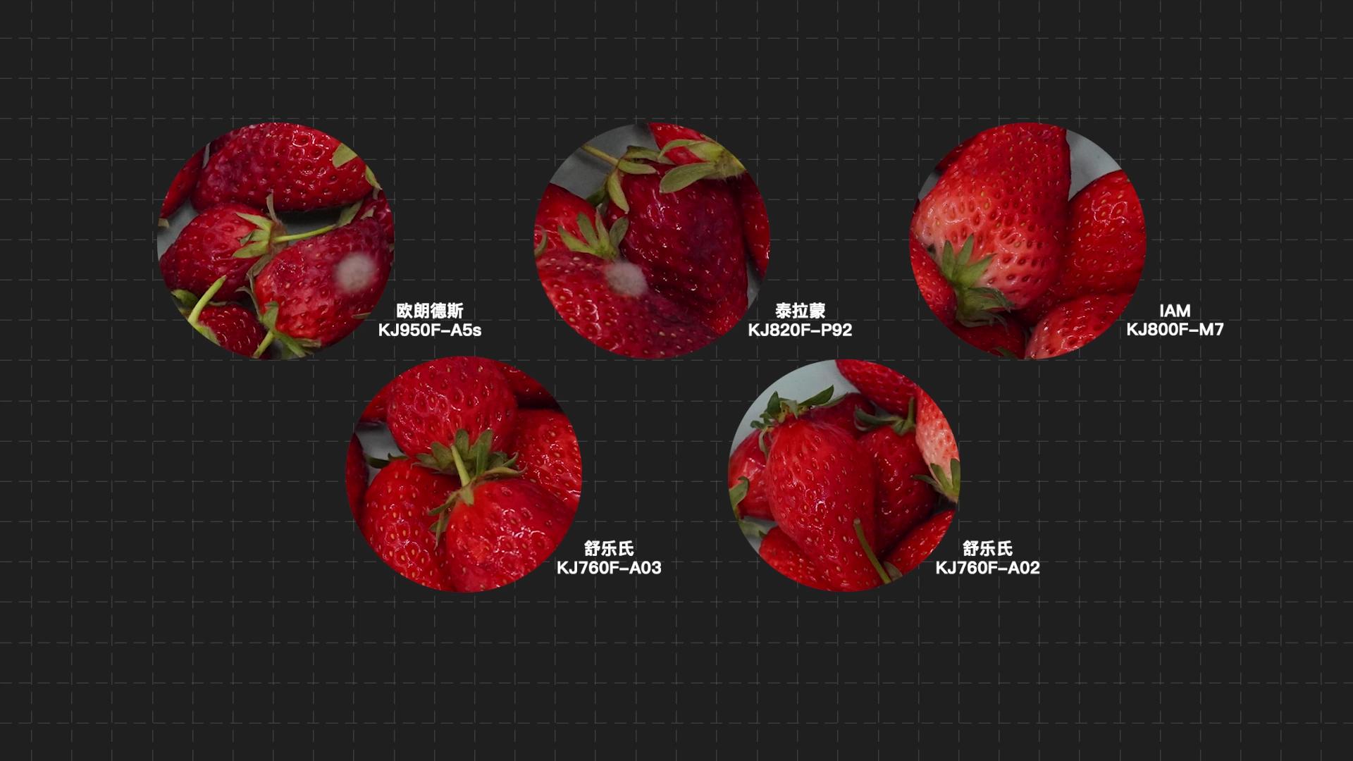 舒乐氏和泰拉蒙空气净化器哪个好,舒乐氏和泰拉蒙哪个空气净化器好