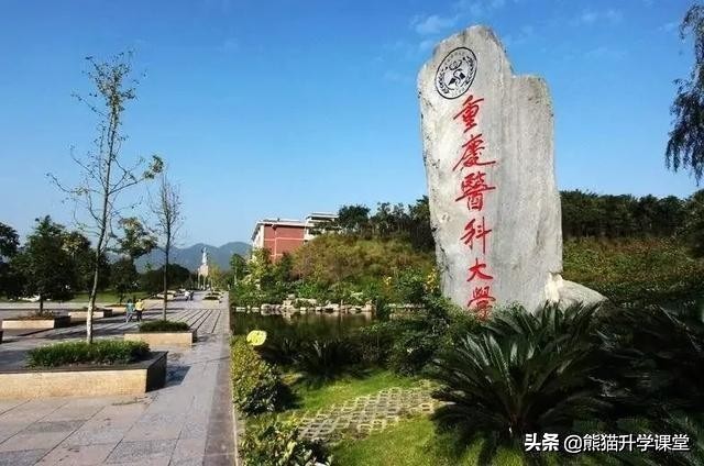 重庆排名前十的公办专科医学院校,重庆中医药大学2022年招生