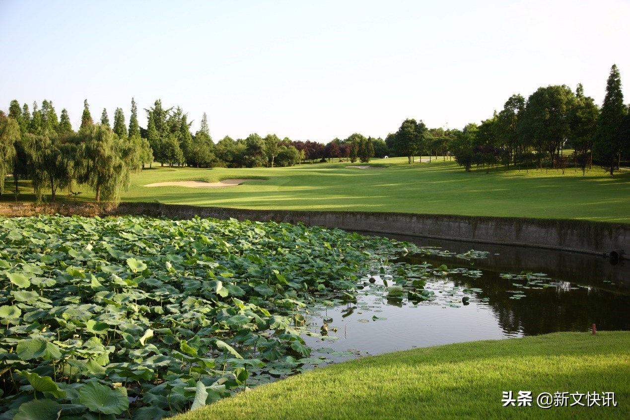 成都世警赛,成都世警会射击比赛