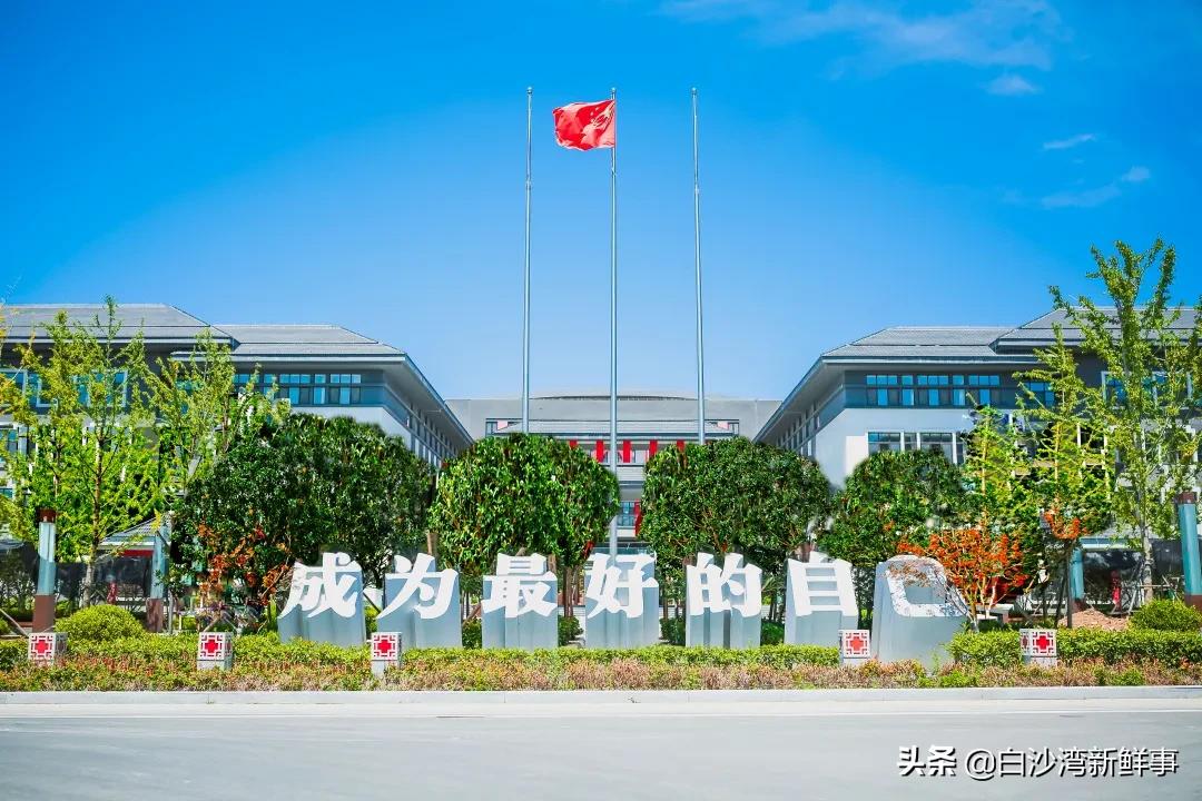 青岛17中考艺术特长生招生简章,青岛十五中2020自主招生名单