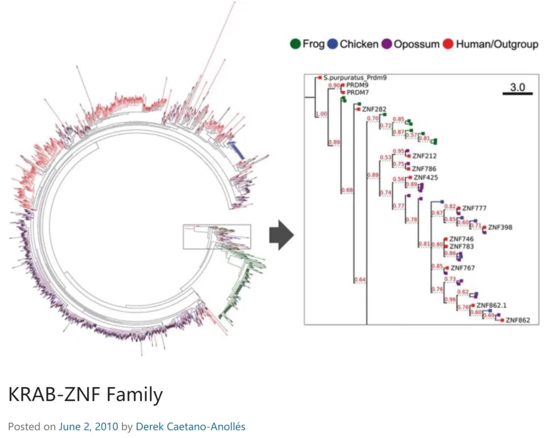 生信分析常用数据库,生信分析用哪个数据库