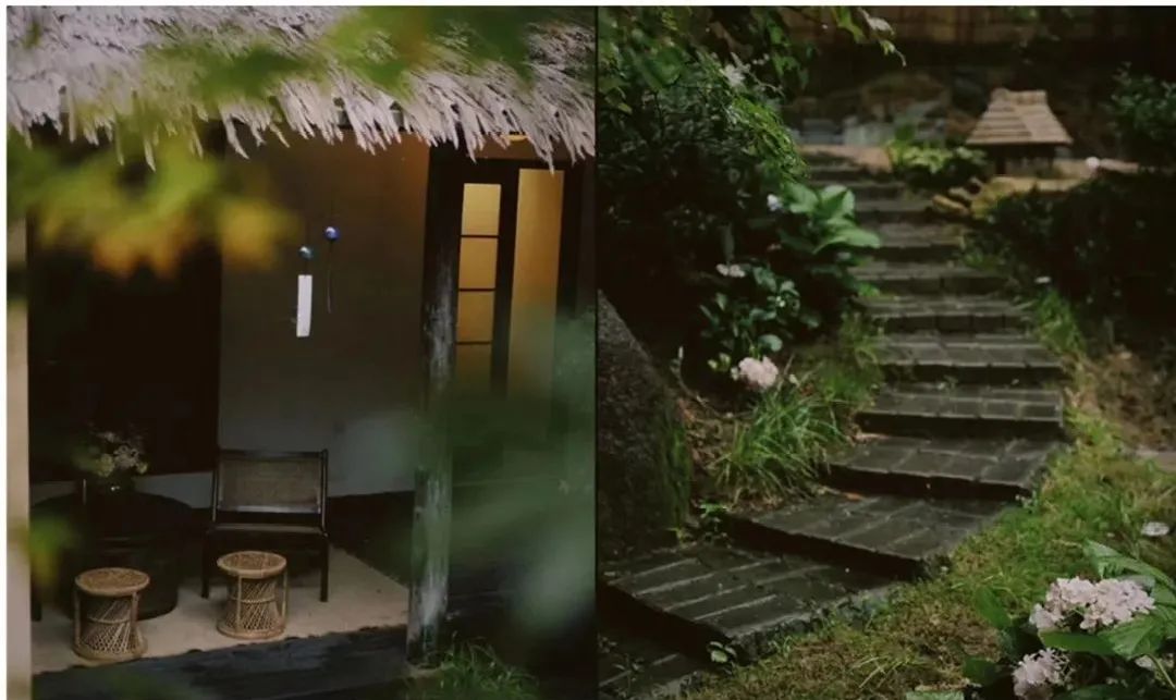 春天的第一杯茶颜悦色奶茶,春天的第一杯竹筒茶