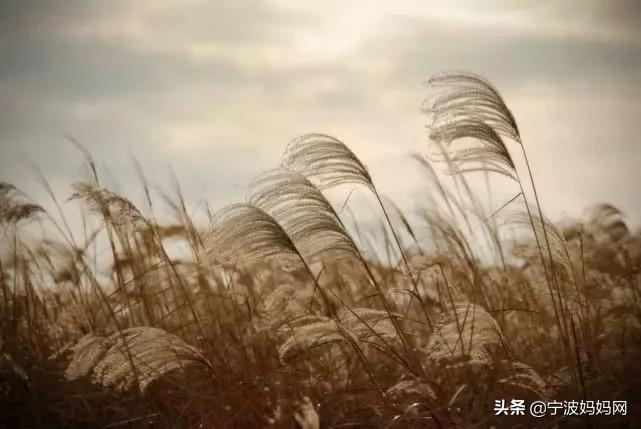 疫情结束后要在广州做的30件事,疫情结束后在武汉做的100件事情