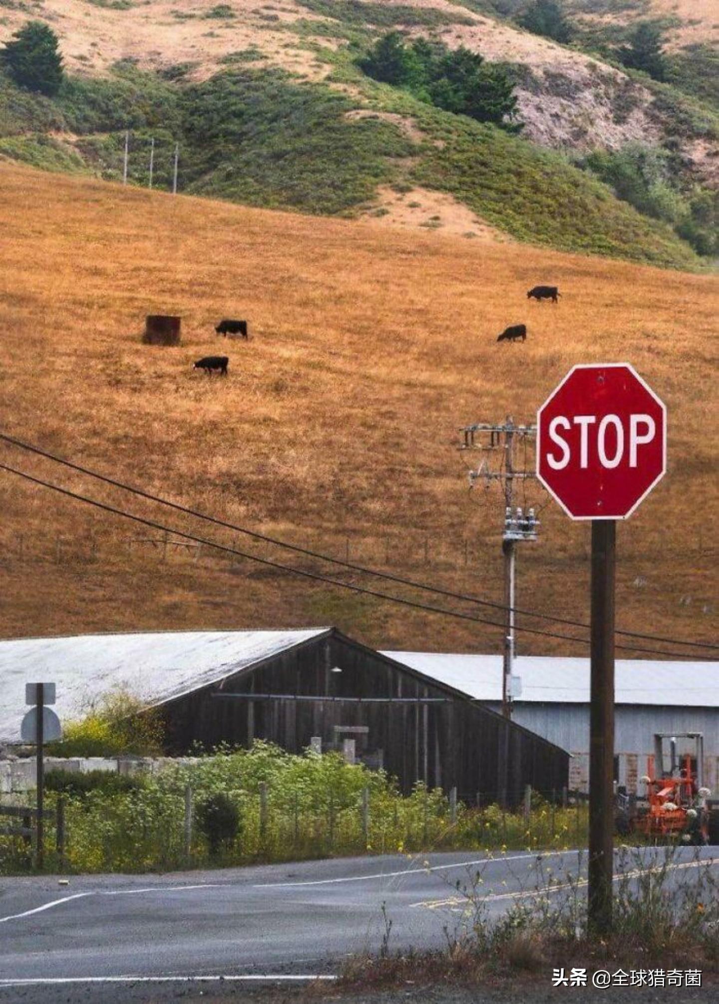 44张难以置信的图片,45张令人难以置信的图