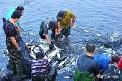 大雪将至怎么养生,冬季大雪节气养生