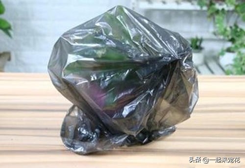 捡来的塑料盆能不能养花,平时买菜回来的塑料袋舍不得扔的