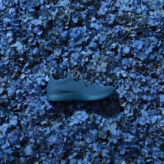 看了一双鞋子不舍得买,看了一双鞋没舍得买