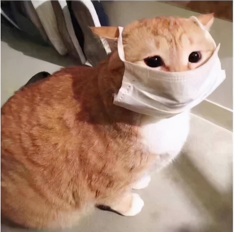 护肤美白祛痘抗皱,祛痘有效成分有哪些护肤品