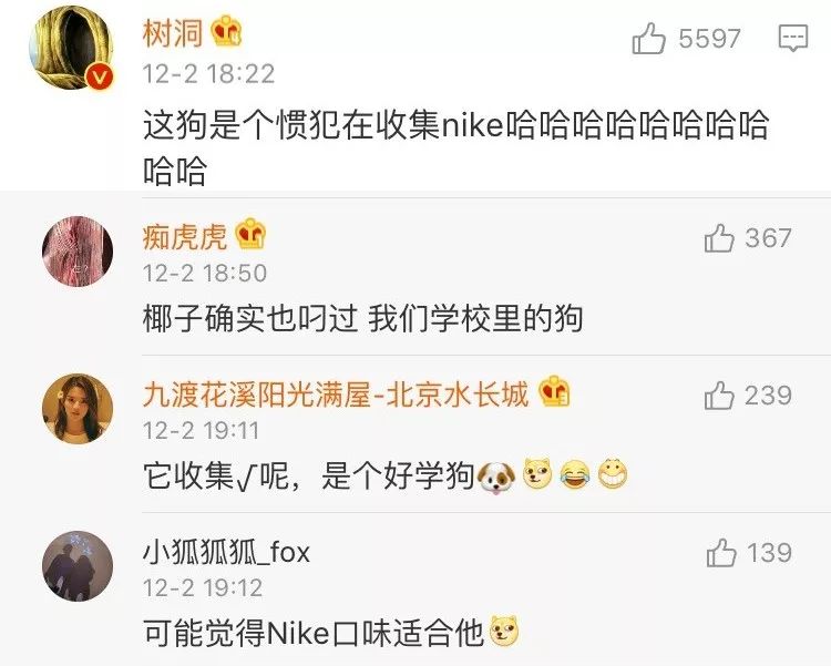 闉嬪瓙琚滃瓙琚埆浜哄伔,闉嬪瓙琚滃瓙琚伔