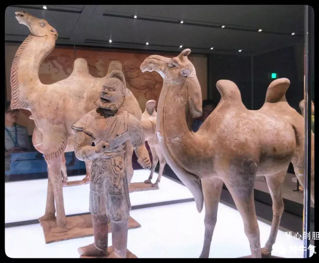 赤金走龙陕西历史博物馆,陕西历史博物馆抢票攻略